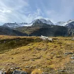 Modern House In With Wood-fired Sauna Holiday home Lyngen
