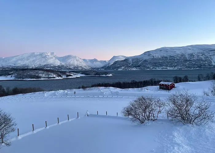 Modern House In With Wood-fired Sauna * Lyngen