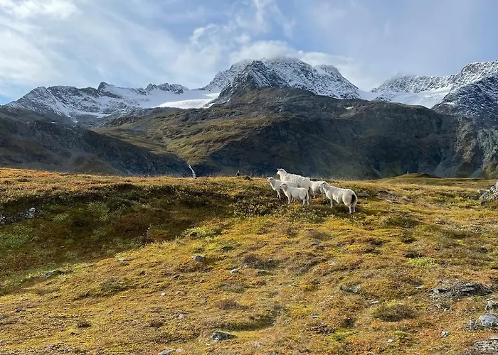 Modern House In With Wood-fired Sauna Σπίτι διακοπών Lyngen